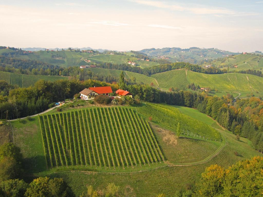 Weingut- Gaestezimmer Marko ليوتسشاخ المظهر الخارجي الصورة