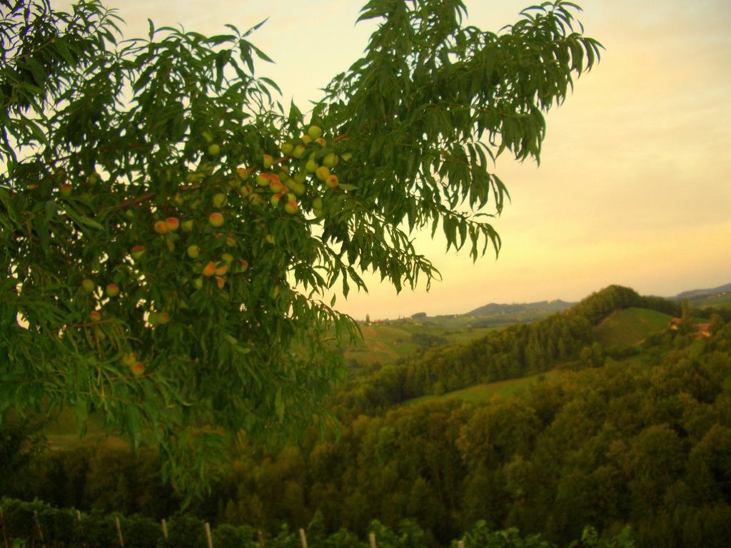 Weingut- Gaestezimmer Marko ليوتسشاخ المظهر الخارجي الصورة