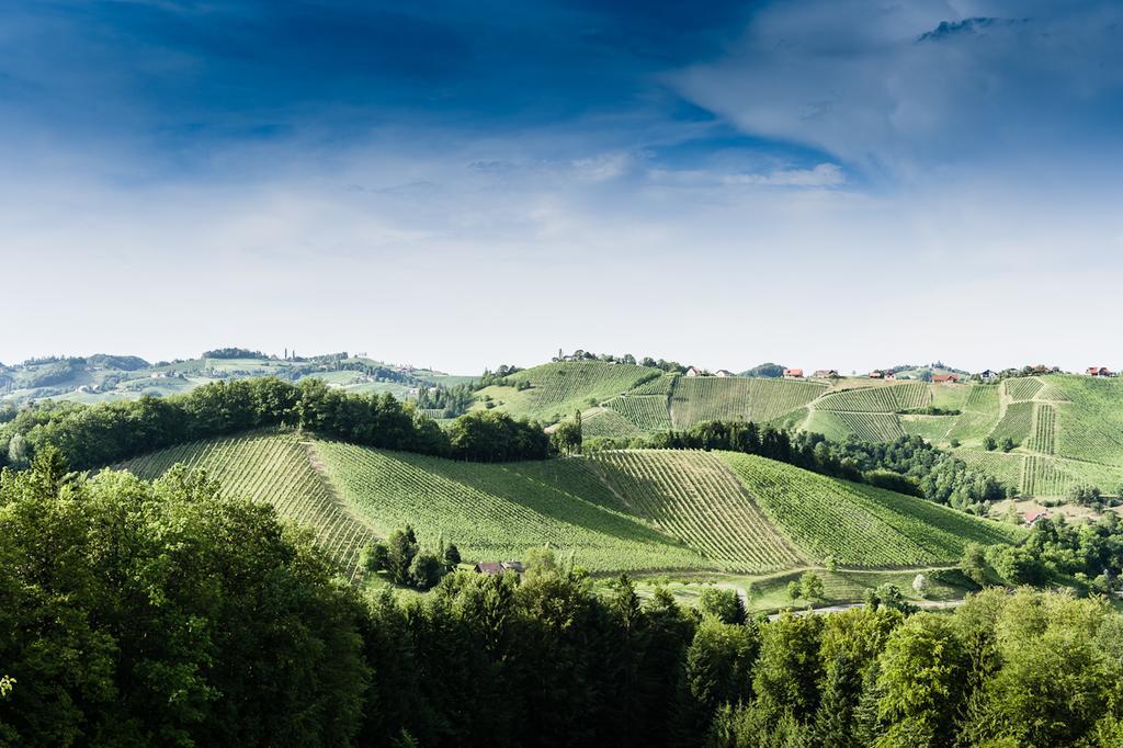 Weingut- Gaestezimmer Marko ليوتسشاخ المظهر الخارجي الصورة