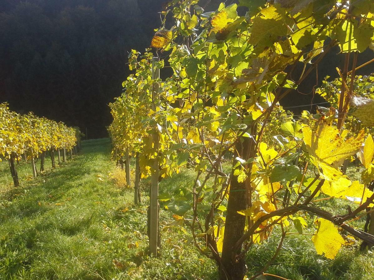 Weingut- Gaestezimmer Marko ليوتسشاخ المظهر الخارجي الصورة